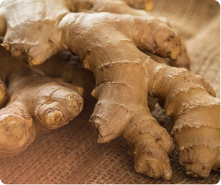 Ginger
