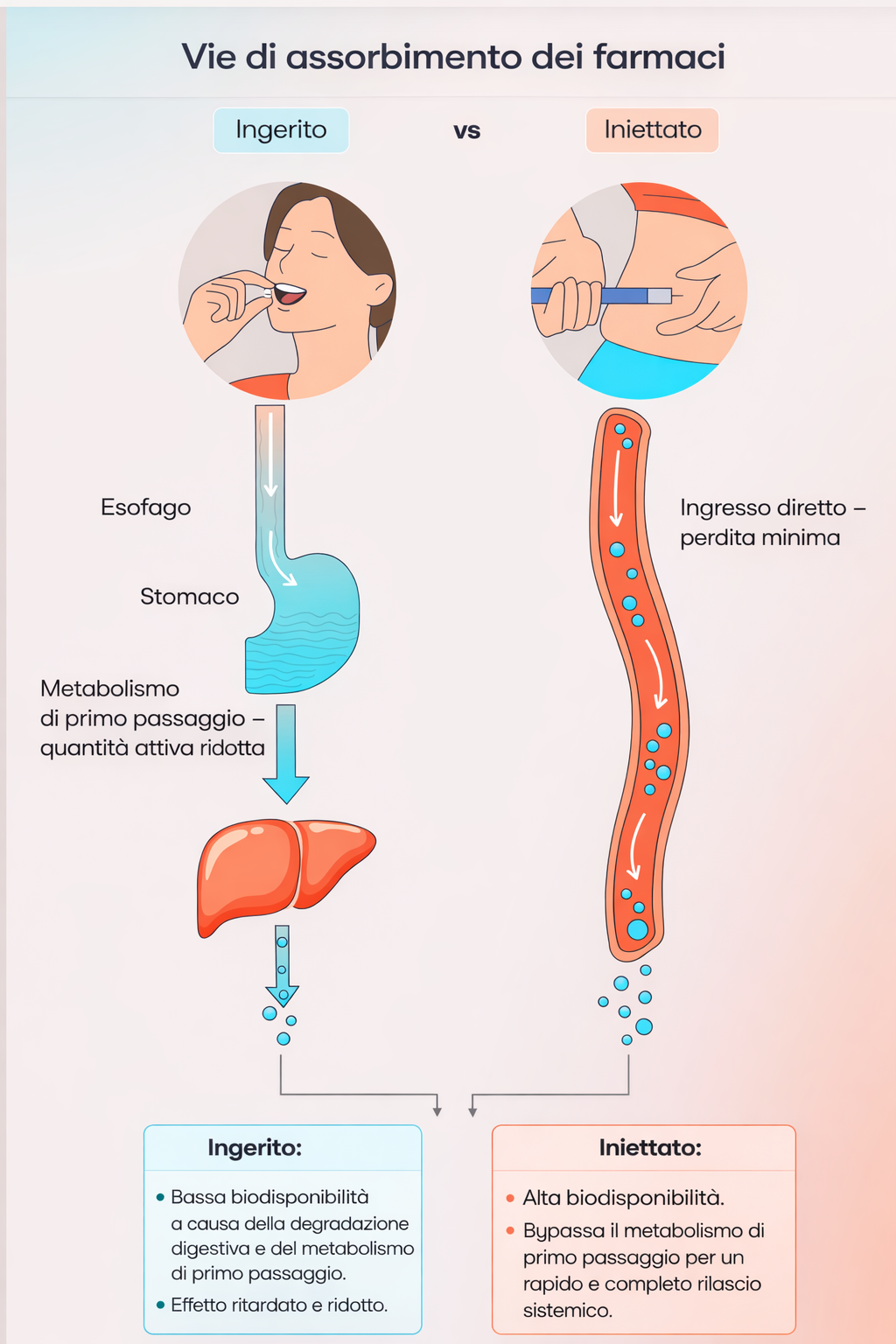 assorbimento dei farmaci