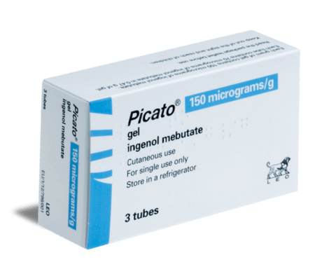 Picato Picato