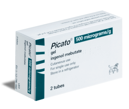 Picato Picato